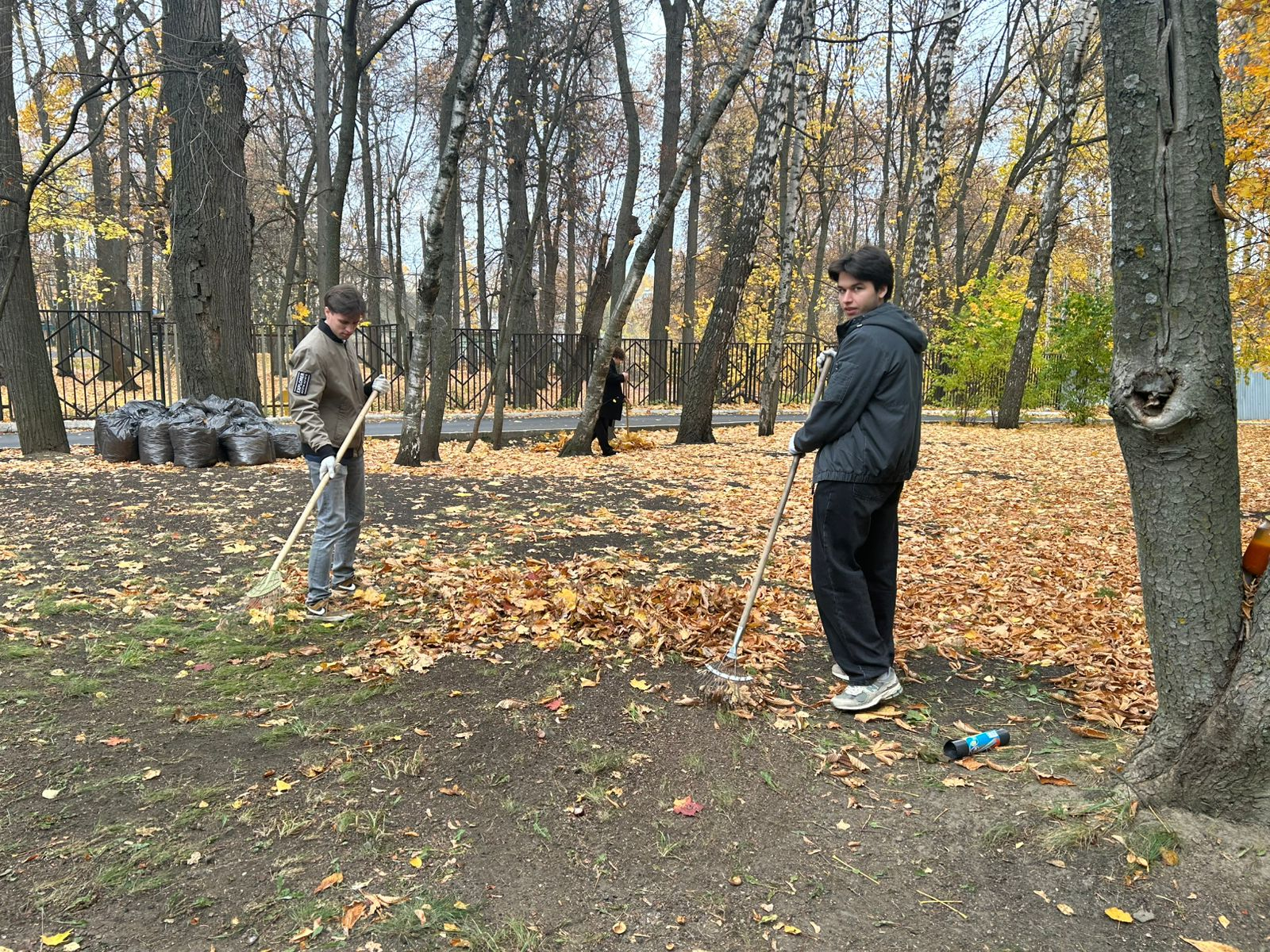 Студенты гр 23ФПИ1 на уборке территории